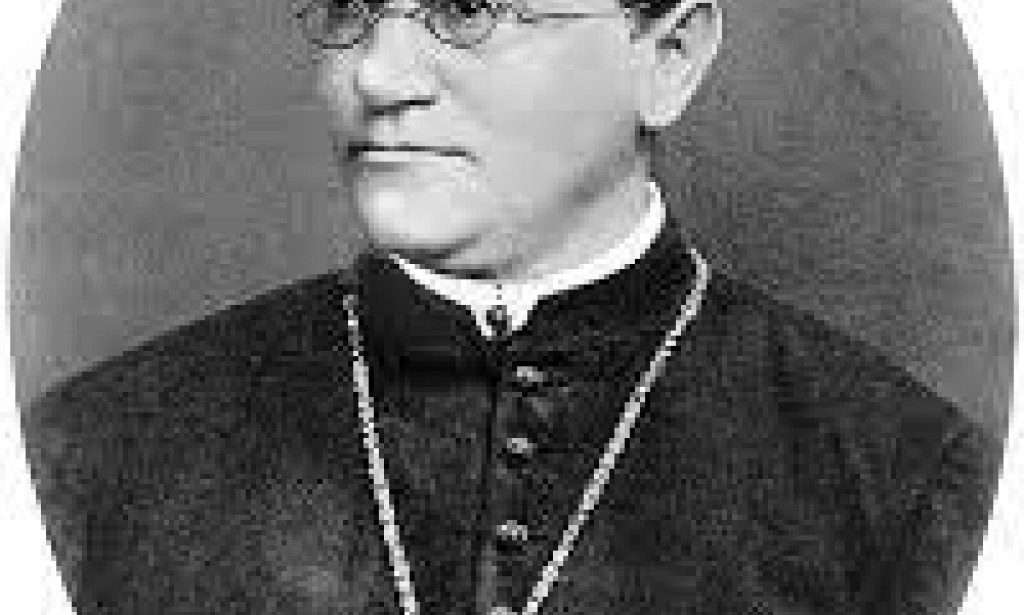 INSTRUMENTAL GENE CONCEPT