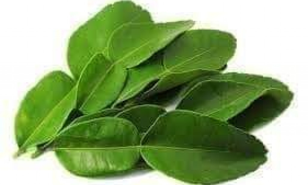 Solution to teeth pain