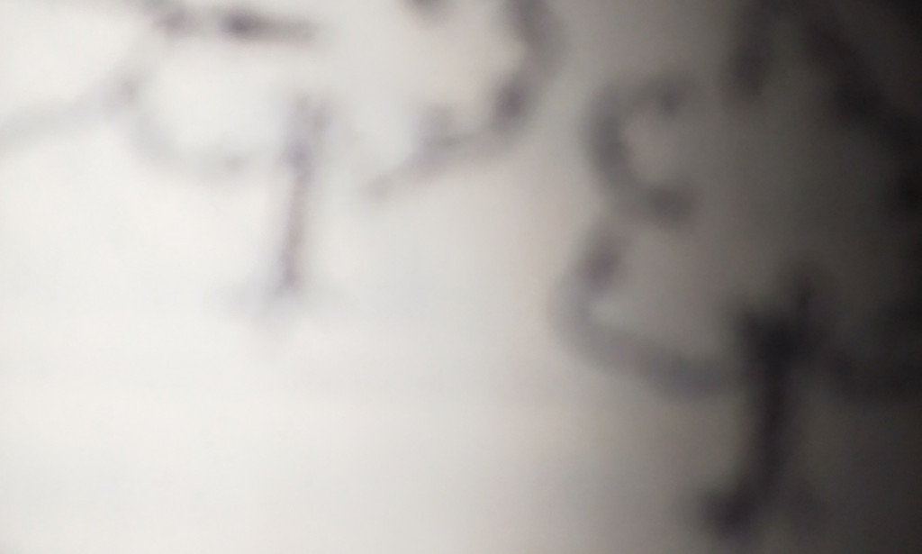 CAUSES OF SOIL EROSION IN NIGERIA/WEST AFRICA