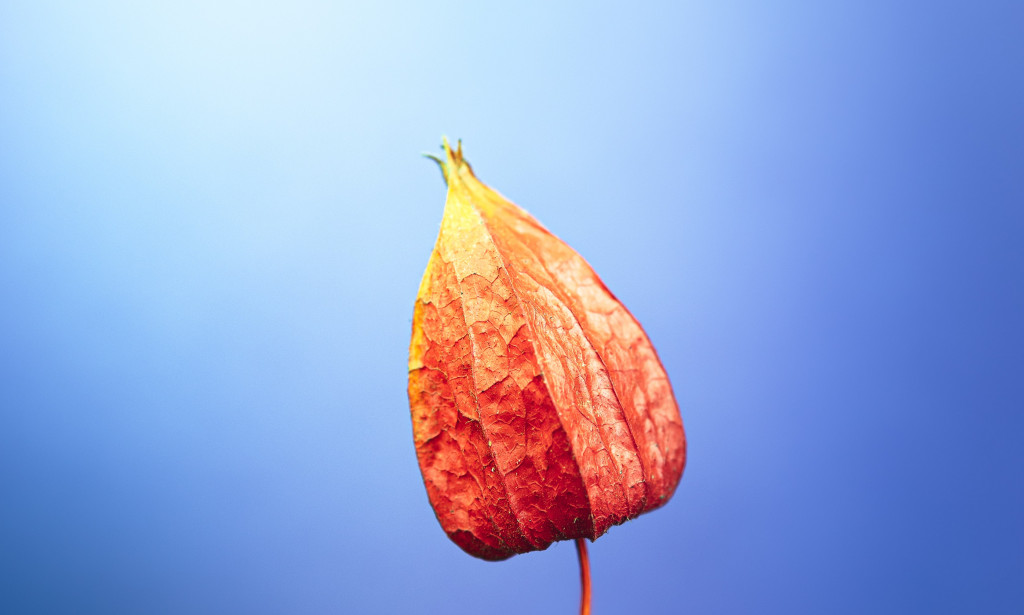 Bladder leakage: A common (not normal) problem