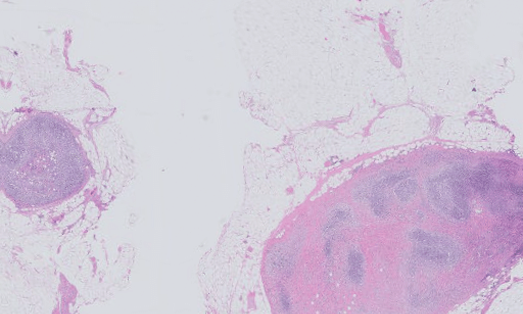 Regarding the global earning platform or app task buzz