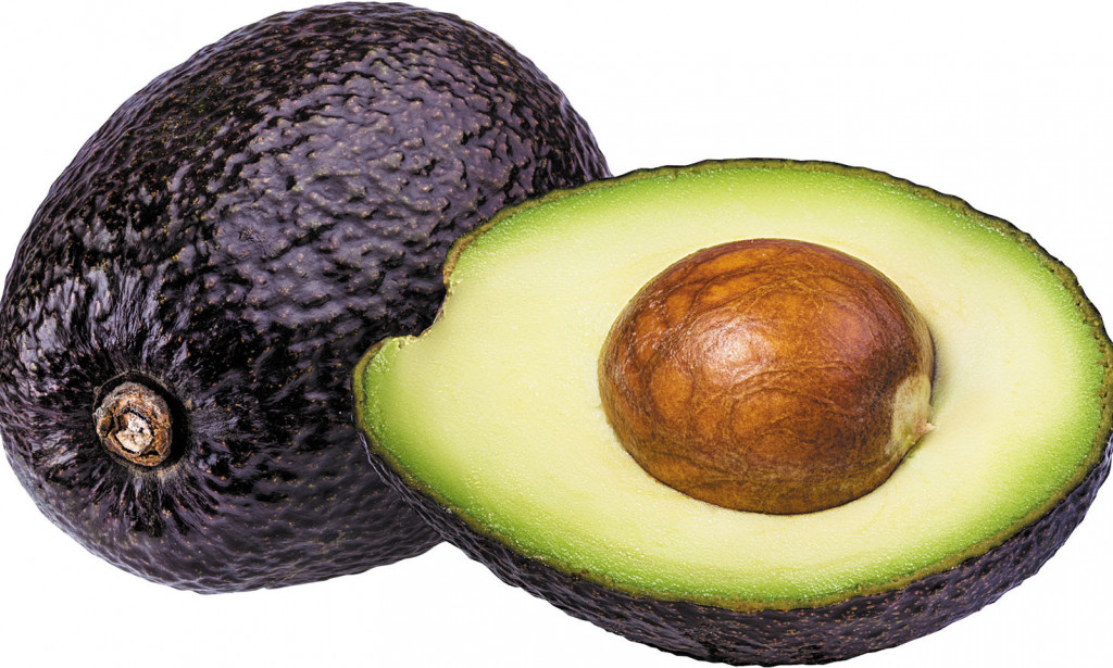 Protein is an important macro and everyone despite their goals should consume it to be healthy