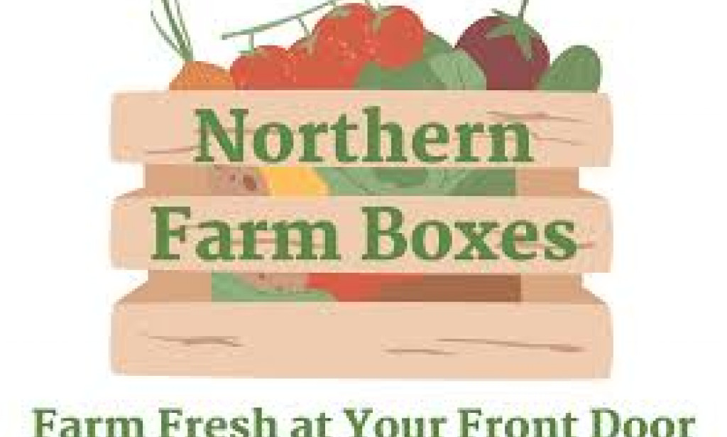 Pharmacists could help curb the mental health crisis