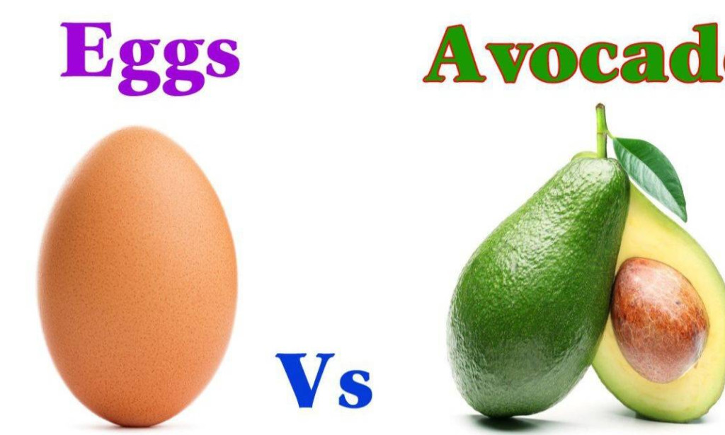 Which One Do You Think Is Better? Egg or Avocado