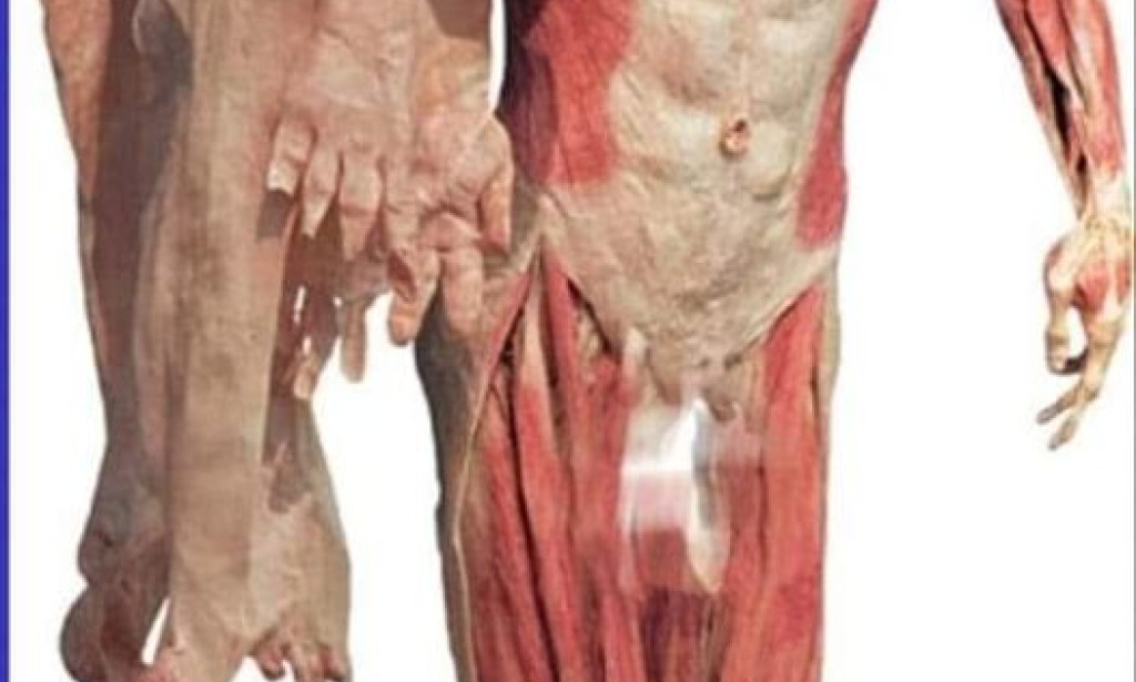 DO YOU KNOW WHAT THIS IS???