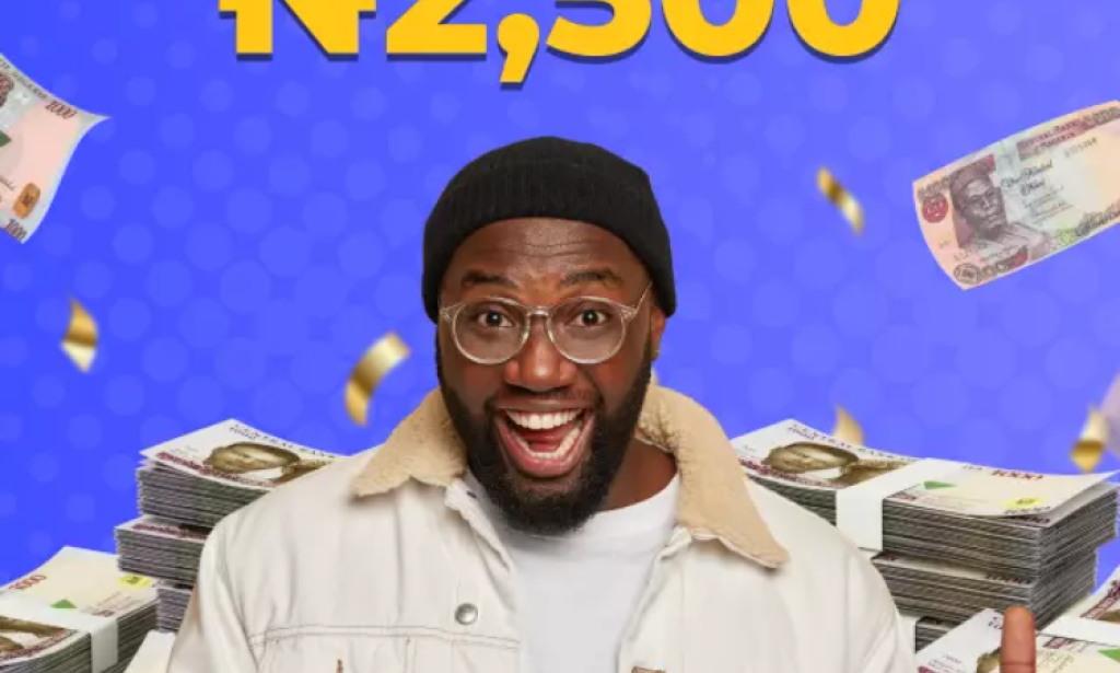 PalmPay money app review