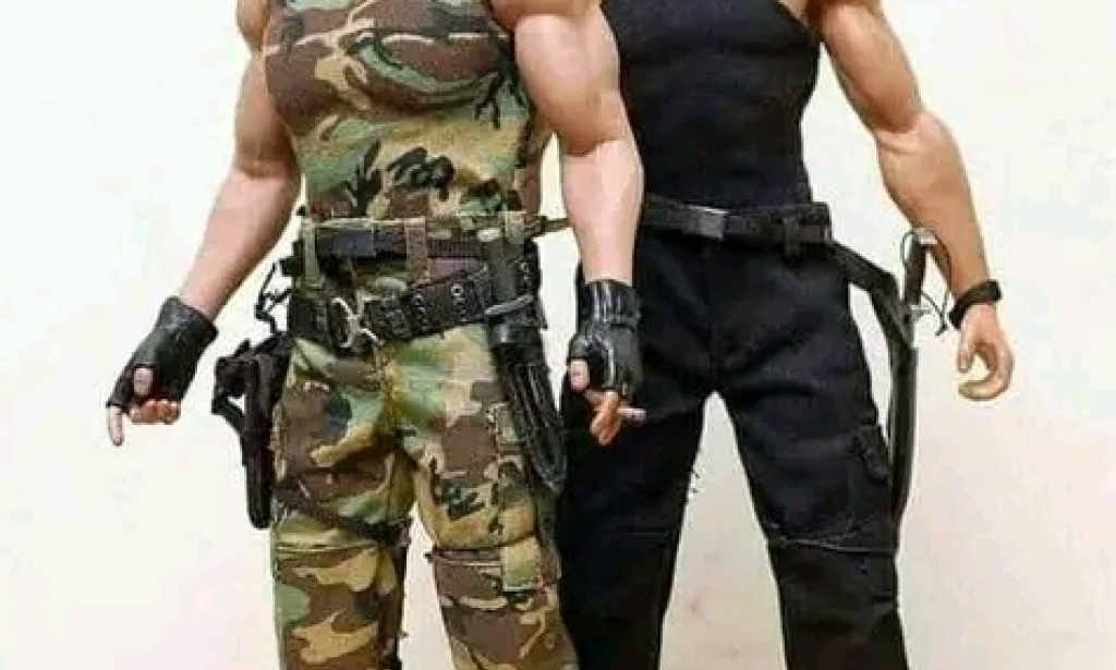 Schwarzenegger & Stallone: Inspiring Facts About The Two Global Movie Legends!