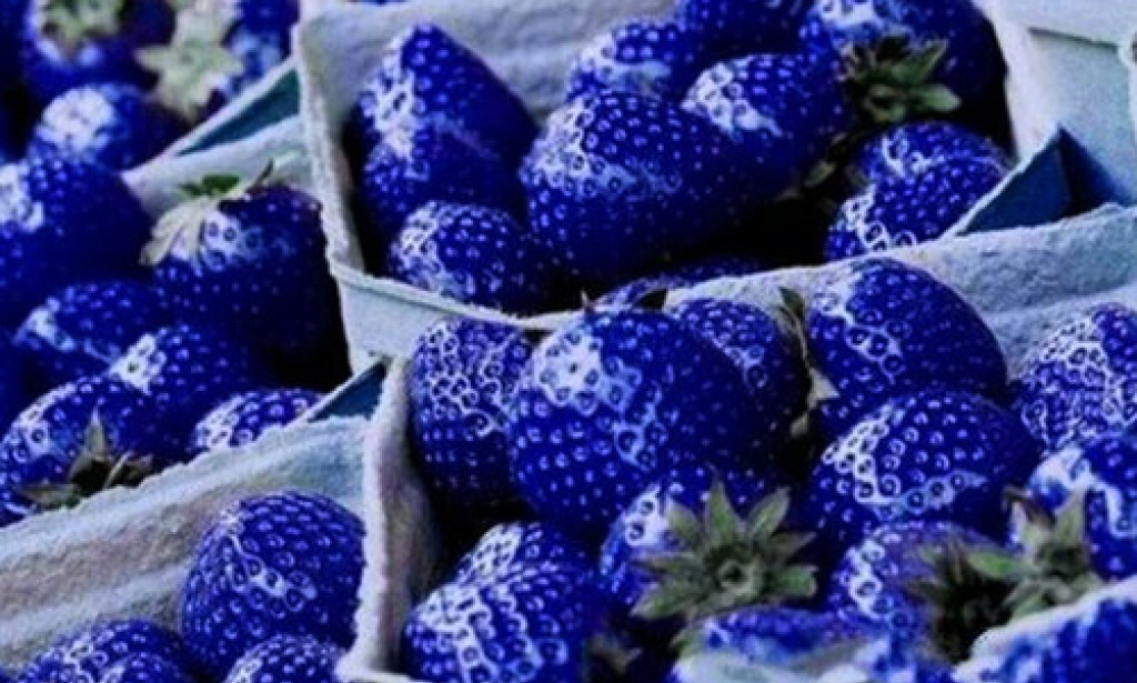 Blue Strawberries
