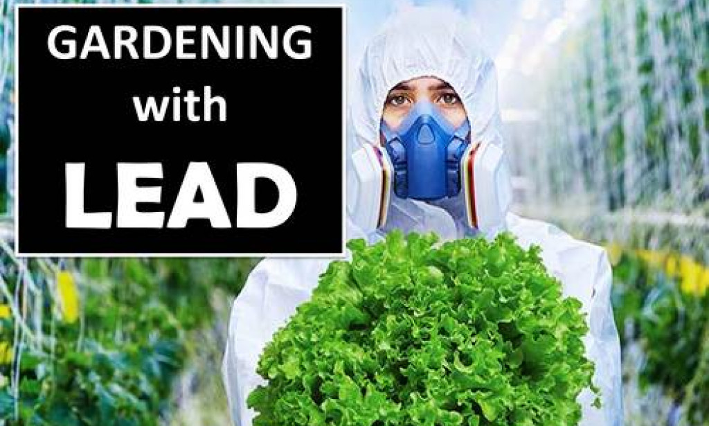Is Lead in Garden Soil Killing You?