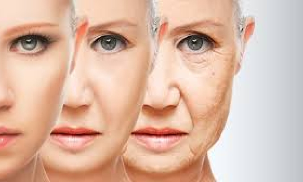 the secret behind human Aging