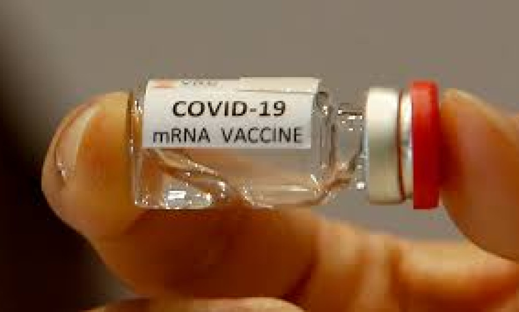 What Was Really In That mRNA Vaxx-Inn That You Took