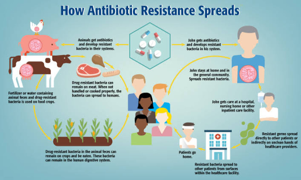 Antimicrobial resistance