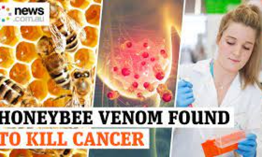 Scientist Discovered Honeybee Venom Kills Cancer Cell