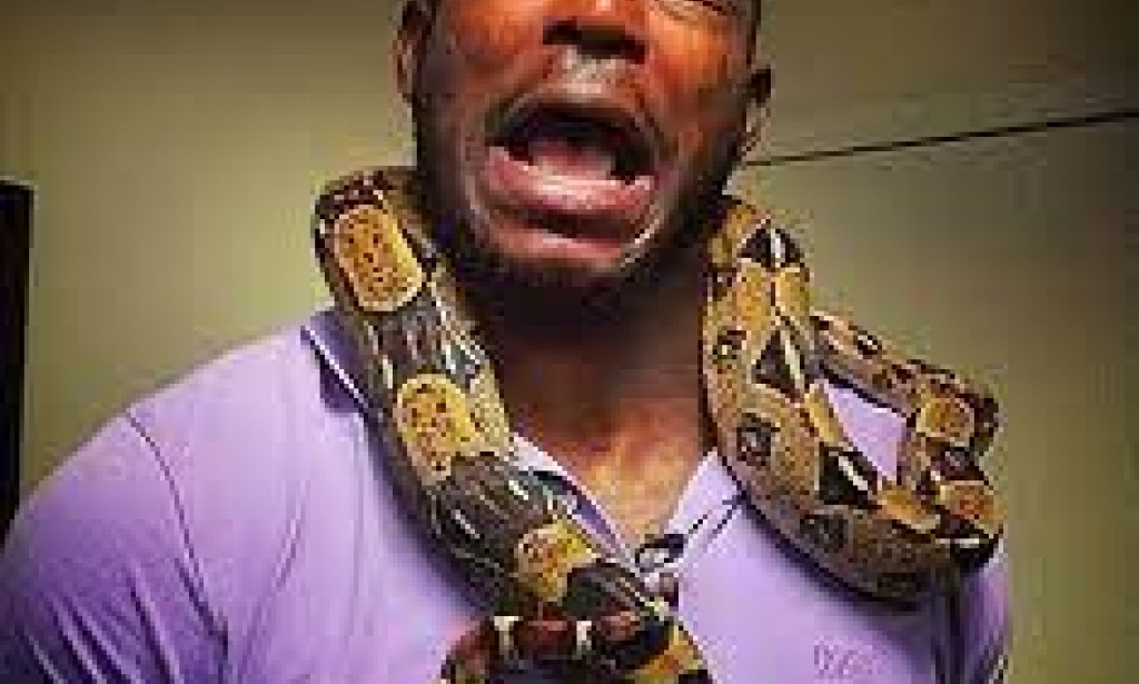 Ophidophobia (Snake Hating)