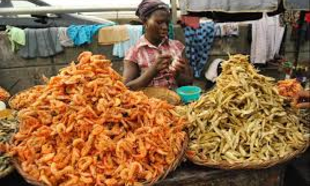 Ten Business Ideas for Igbokoda and Okitipupa