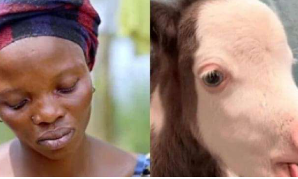 After Carrying My Pregnancy For Nine Months I Gave Birth To A Goat Instead Of A Baby.