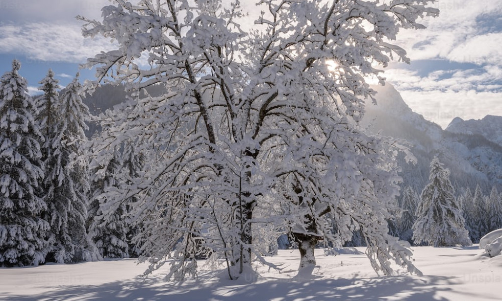 Melting of arctic ice