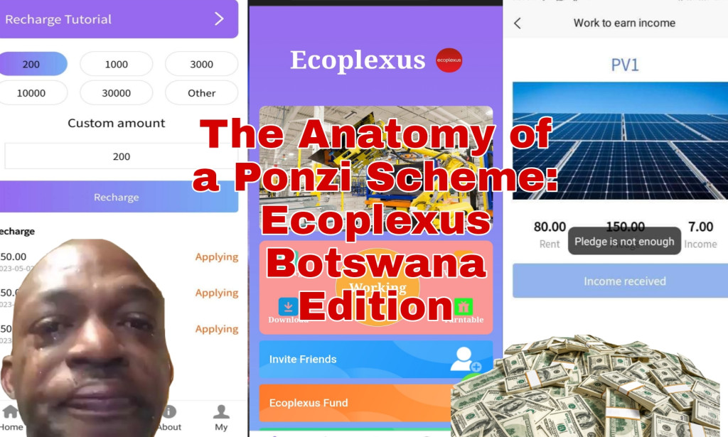 Ecoplexus Botswana Investors Share Warnings as Company Faces Imminent Collapse