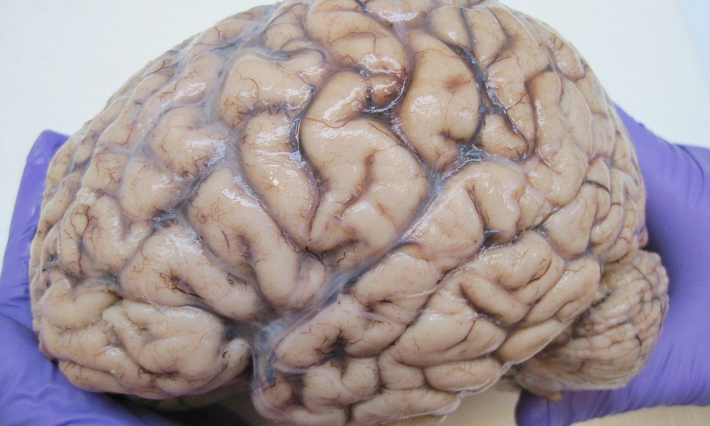 How to improve brain power