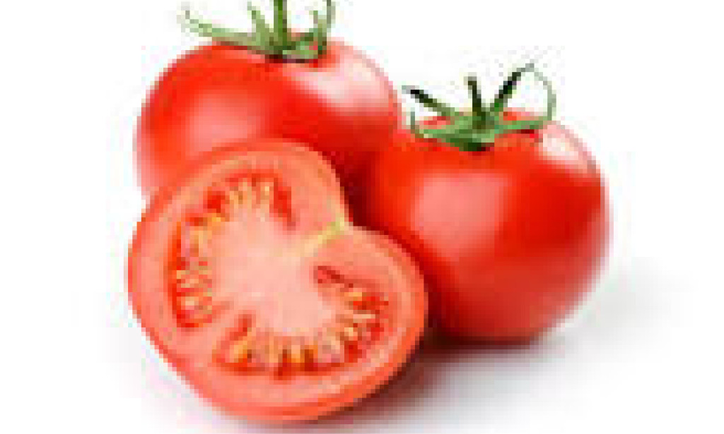 Keeping your tomatoes safe!!!