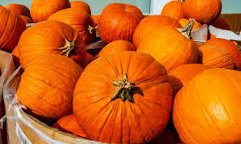 Health benefits of Pumpkin