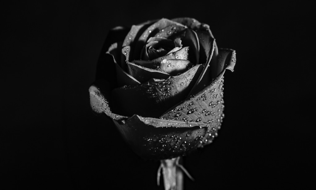 psychological facts of silent people