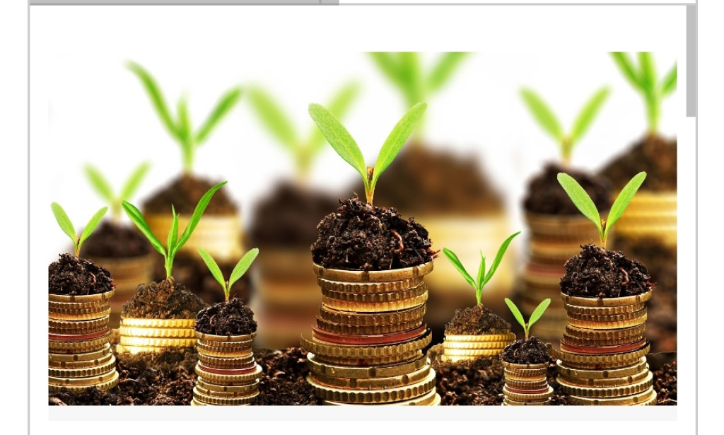 "Unlocking Wealth: Top 10 Lucrative Businesses in Ghana for Financial Success"