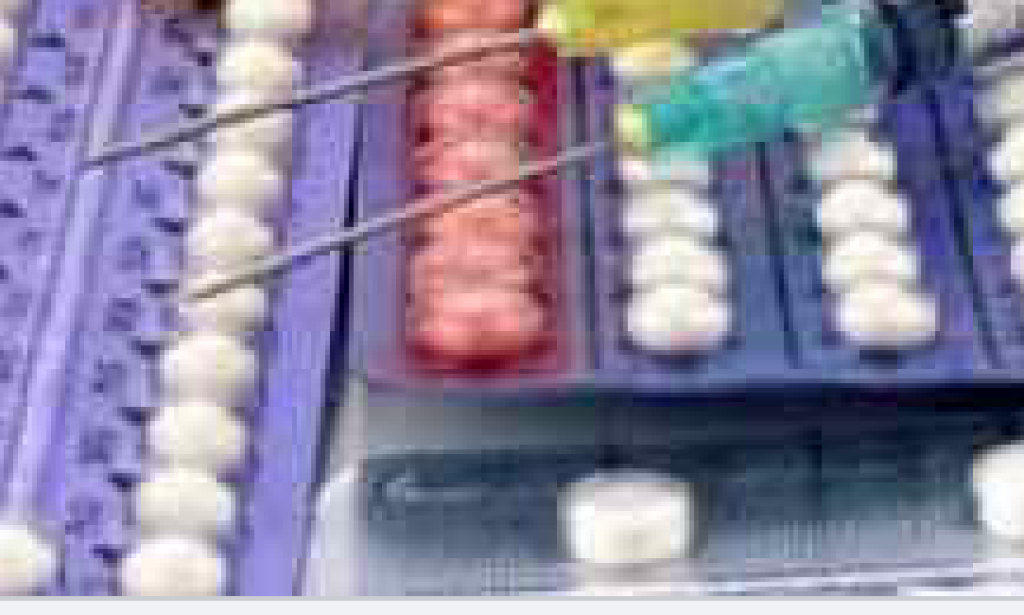 If You Don't Have A Child(First Born) Don't Try This Family Planning Method, See Why