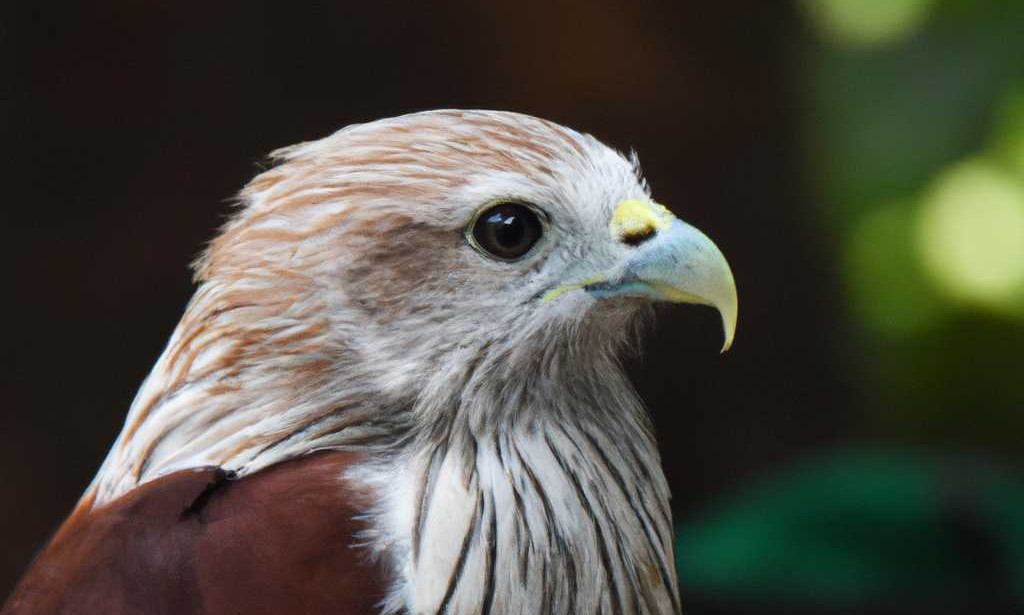 Thе Futurе of Artificial Intеlligеncе: Transforming Industriеs and Shaping Sociеty