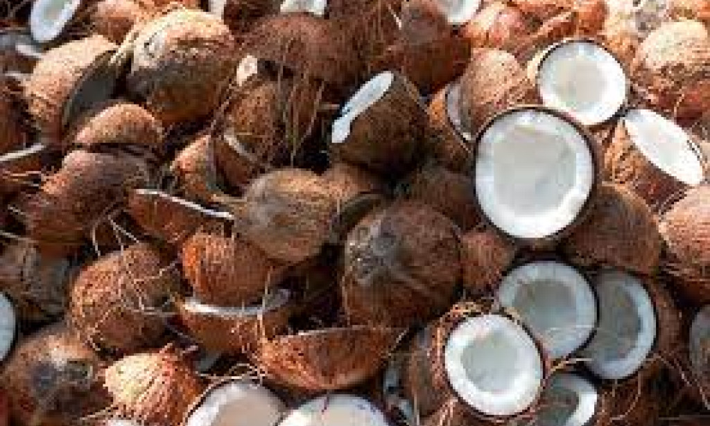 Exploit the Healing Power of Coconut: Here is a list of diseases that can be cured by Coconut.