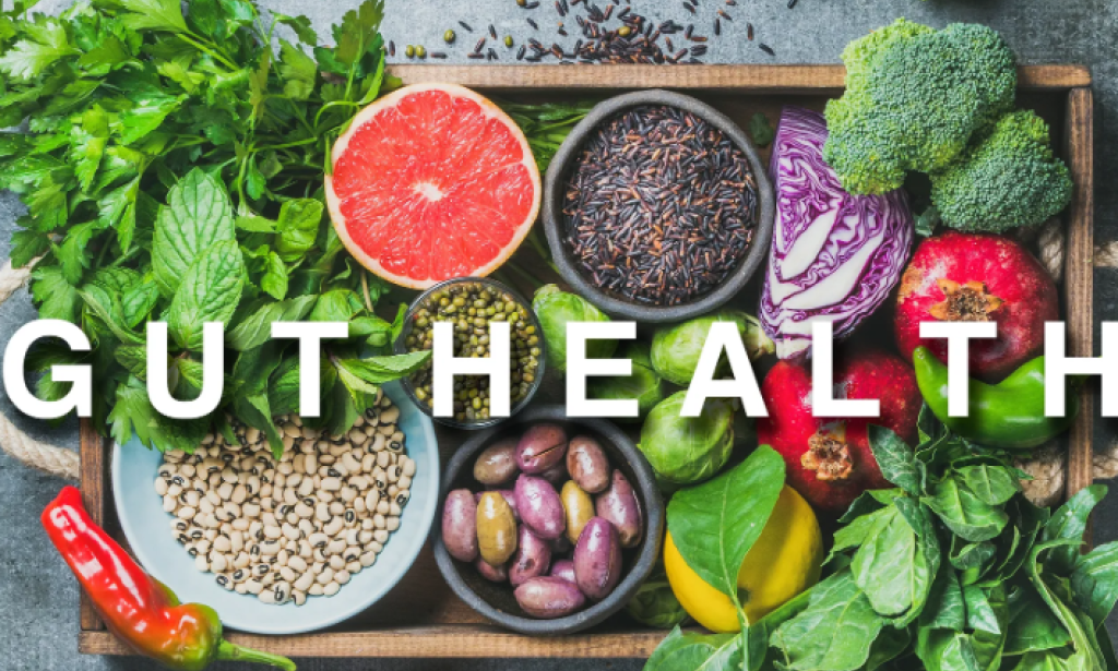 Exploring the Importance of Gut Health in Improving General Health and Well-Being