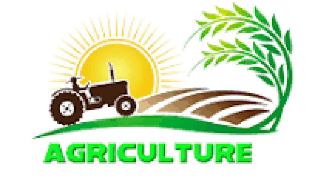 Agricultural Opportunities In Nigeria
