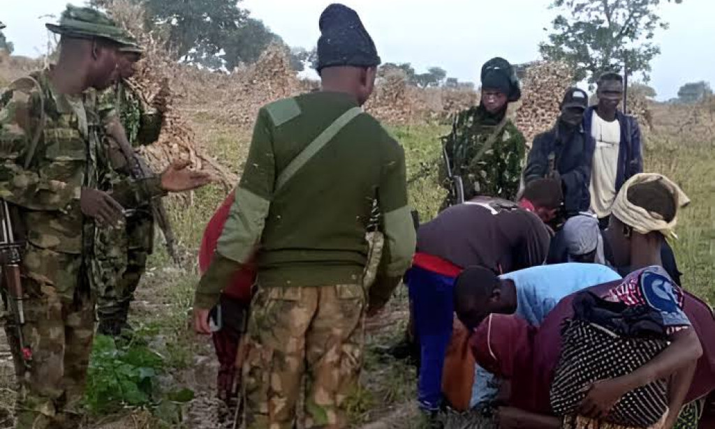 Nigerian army, Army rescues 35 kidnap victims in Katsina