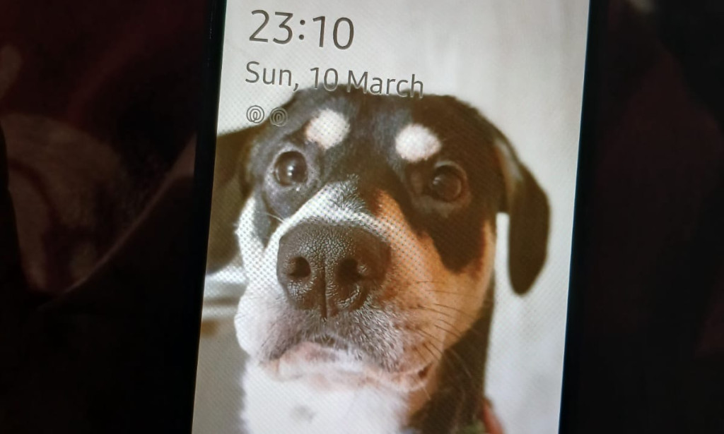 Samsung Aos4: A Budget-Friendly Powerhouse