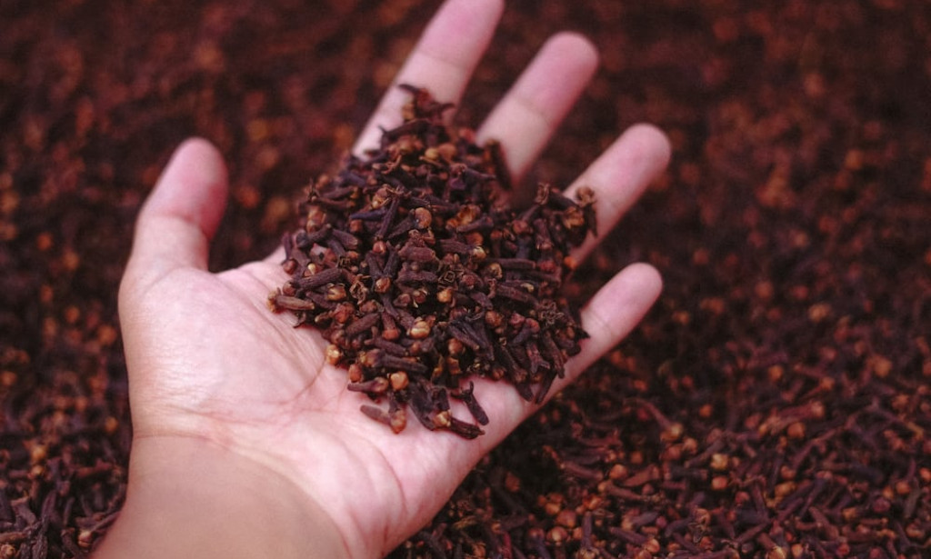Unlocking the Health Benefits of Cloves for Men
