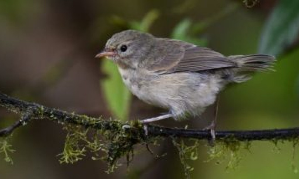 Ten Extremely Famous Quotes You’ve Been Getting All Wrong