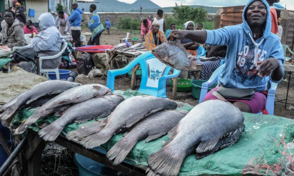"Splendor of the Waters: The Cultural Significance of Fish in the Luo Community of Kenya