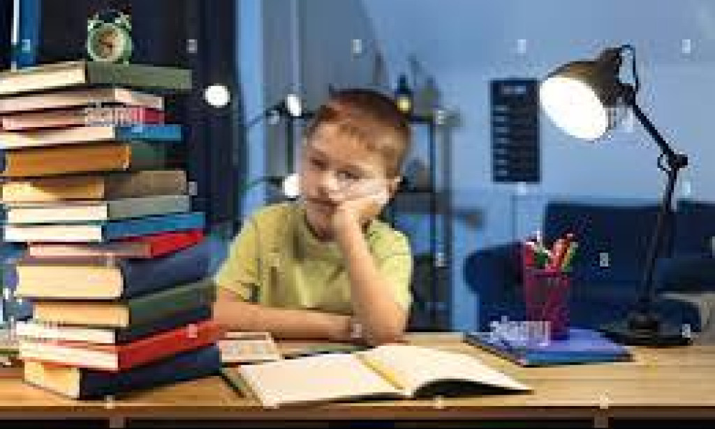 Are School Homework For Kids Really Necessary?