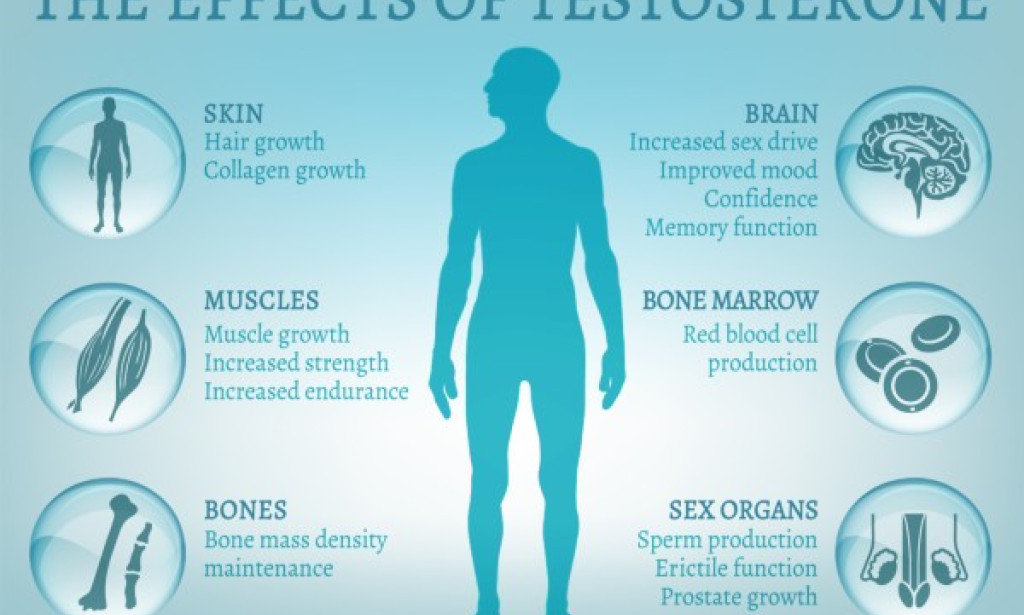 9 Everyday Items and Habits that Cause You to Have Low Testosterones Levels