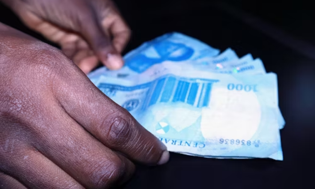 Unlock Your Potential: Essential Skills You Can Master with Peritia