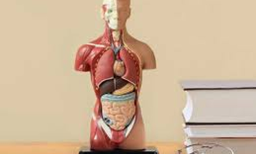 20 Bizarre Medical Conditions That Will Shock You