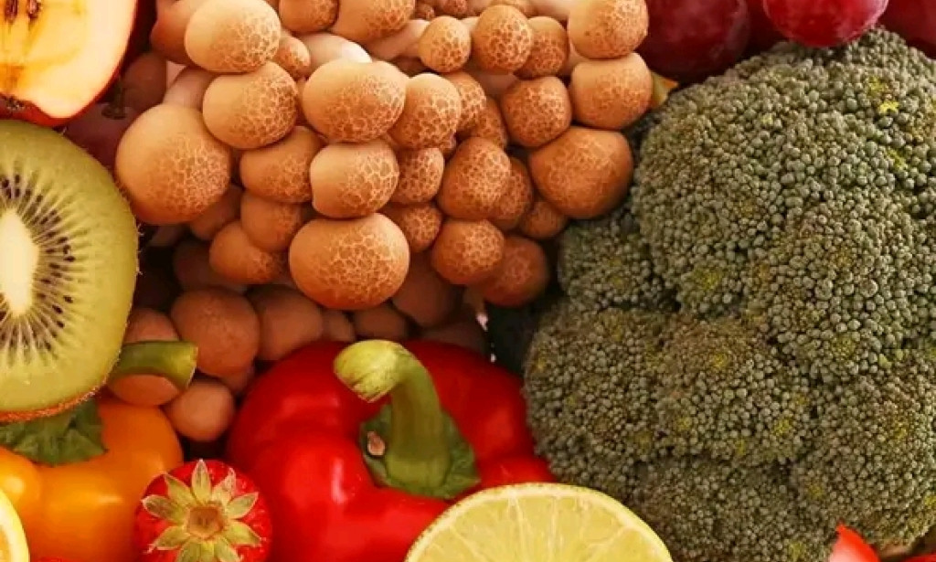 19 Essential Health Tips for a Better Lifestyle