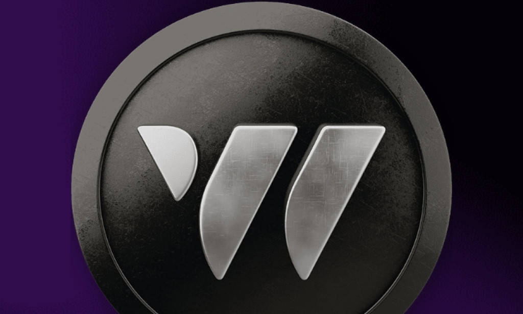 Exploring W-Coin: The Future of Digital Transactions?