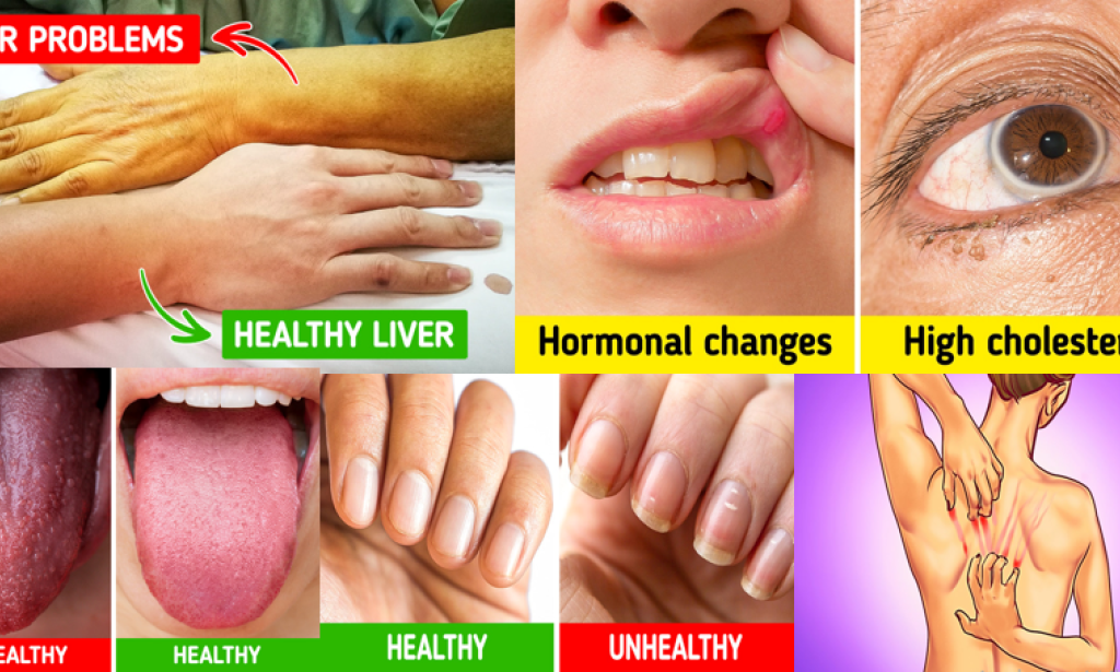 Common Signals Our Bodies Give & Why You Should Never Ignore Them