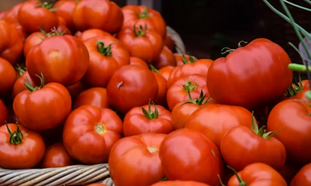 COPING WITH TOMATO SCARCITY (MANAGING YOUR TOMATO FRUITS EFFECTIVELY, PREVENTING WASTAGE AND PRESERVING SHELF LIFE)