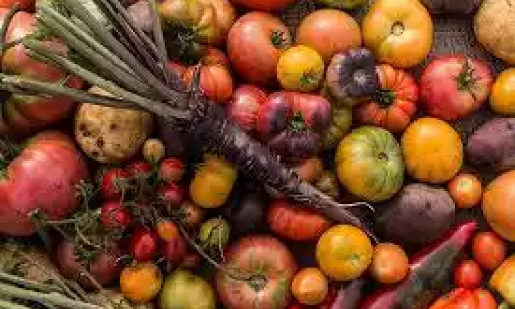 Heirloom varieties: preserving Biodiversity in produce.
