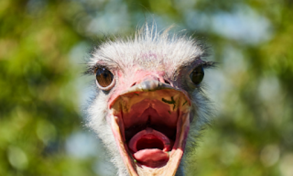 Smartphone Side Effects on Children and Strategies for Safe Use (The Double-Edged Sword)