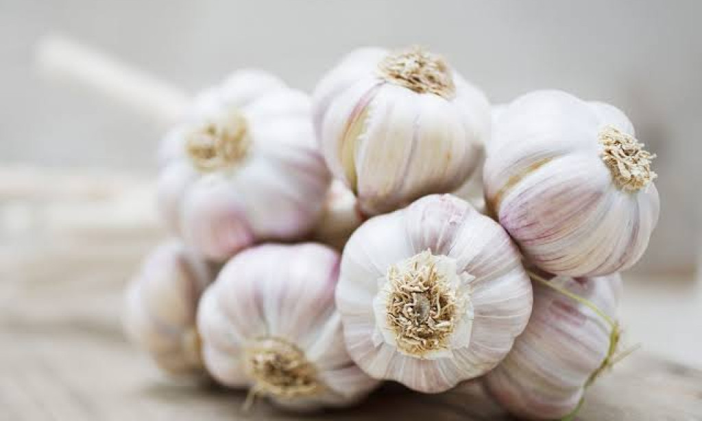 The Powerful Duo: Health Benefits of Ginger and Garlic