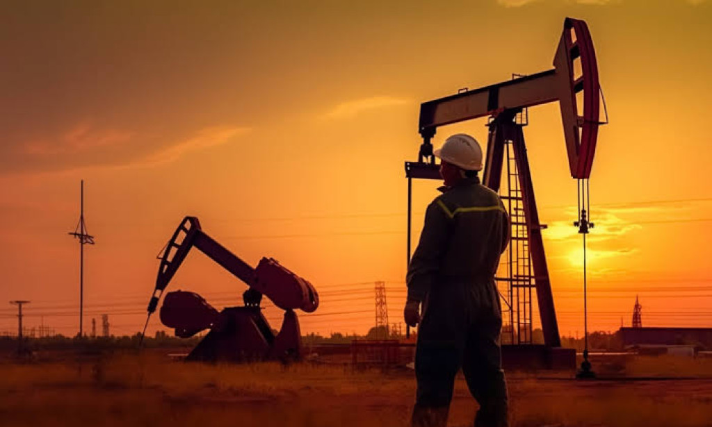 How to Identify Promising Sites for Oil Exploration: A Step-by-Step Guide