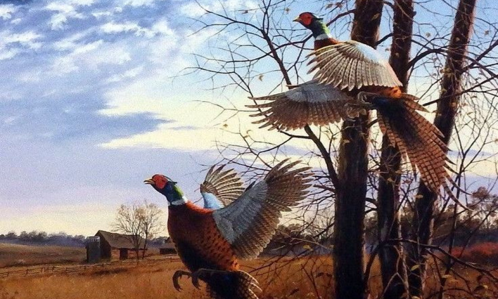 Wildlife Migration Patterns